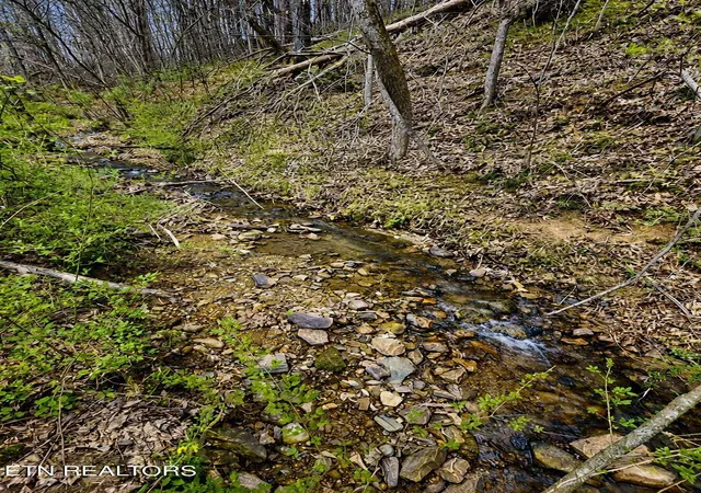 42nd image of 4231 Rocky Branch Rd, Walland, TN 37886 | MLS# 1348002