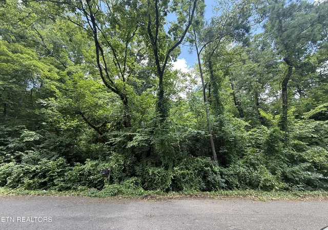 Photo 3 of Land for sale at 4907 Parva Dr, Knoxville, TN 37914 | MLS# 1349066 | Listing updated on 2026-09-16