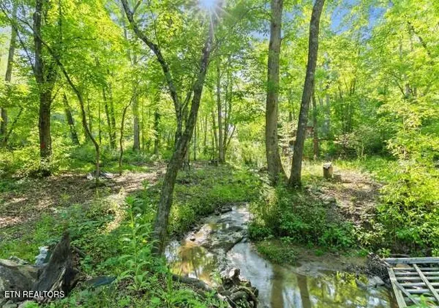 30th image of 2540 Gatewood Ford Rd, Deer Lodge, TN 37726 | MLS# 1350068