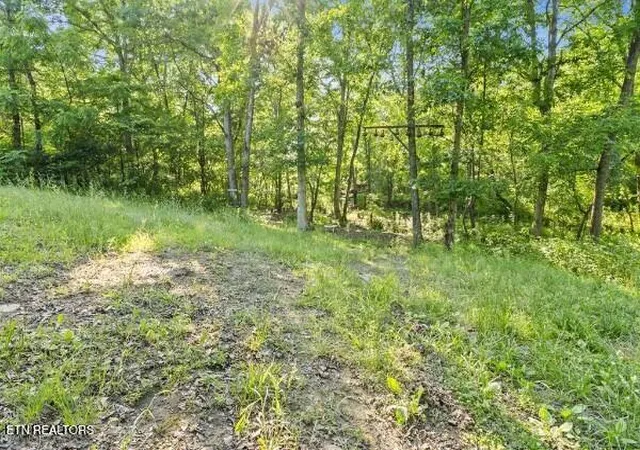 5th image of 2540 Gatewood Ford Rd, Deer Lodge, TN 37726 | MLS# 1350068