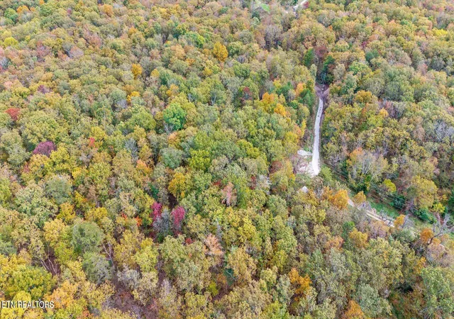 Photo 3 of Land for sale at Raeanne Dr, Spring City, TN 37381 | MLS# 1348271 | Listing updated on 2026-07-15