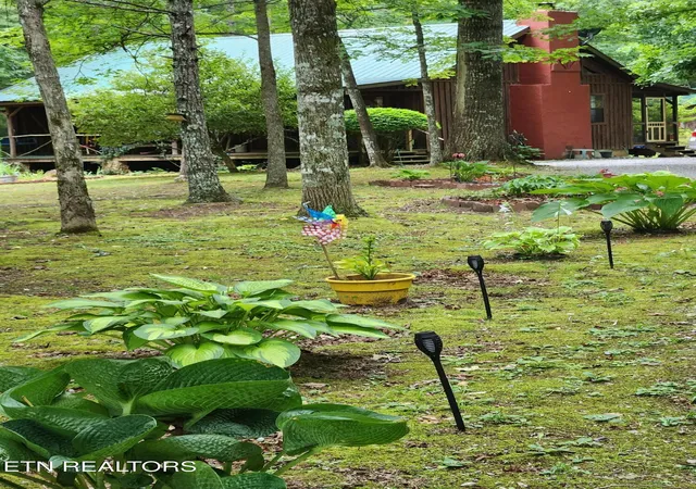 1st image of 108 Goldminers Rd, Tellico Plains, TN 37385 | MLS# 1348042