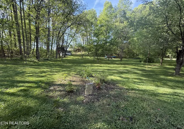 3rd image of 238 Forest Hills Dr #238, New Tazewell, TN 37825 | MLS# 1348392