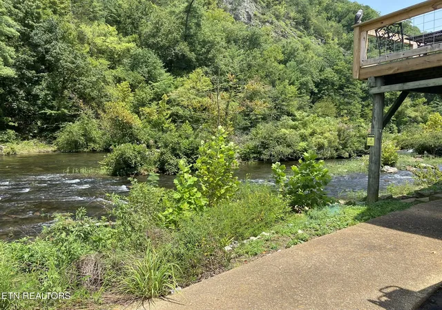 2nd image of 1663 Cherohala Skyway, Tellico Plains, TN 37385 | MLS# 1350667