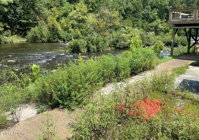Photo 3 of Land for sale at 1665 Cherohala, Tellico Plains, TN 37385 | MLS# 1350667 | Listing updated on 2026-08-17
