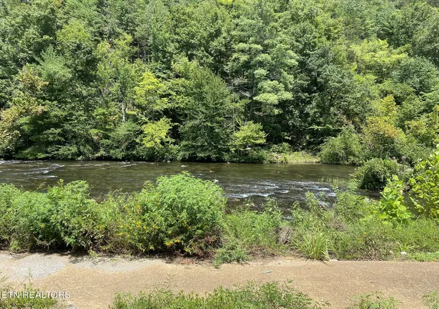 4th image of 1663 Cherohala Skyway, Tellico Plains, TN 37385 | MLS# 1350667