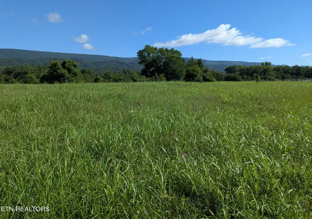 Photo 3 of Land for sale at 1 Doc Hl Rd, Rutledge, TN 37861 | MLS# 1348257 | Listing updated on 2026-08-20