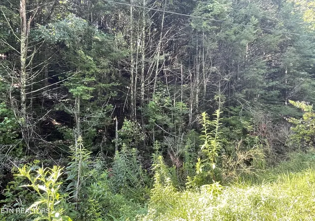 5th image of 3 Point Road Lots 7,8,9, Vonore, TN 37885 | MLS# 1348273