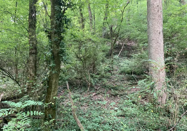 12th image of 4921 Wise Hills Rd #1, Knoxville, TN 37920 | MLS# 1348268