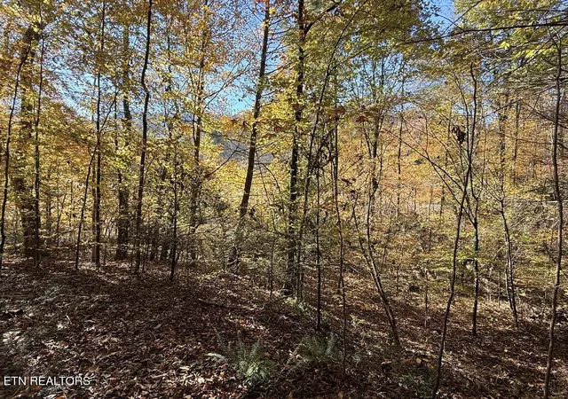 Photo 4 of Land for sale at Old Chilhowee Tract 2 Rd, Seymour, TN 37865 | MLS# 1348371 | Listing updated on 2026-09-02