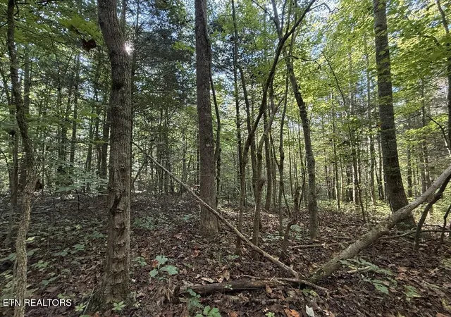 7th image of Old Chilhowee Tract 2 Rd, Seymour, TN 37865 | MLS# 1348371