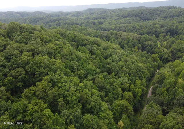 Photo 4 of Land for sale at 0 Ruritan Rd, Harriman, TN 37748 | MLS# 1348616 | Listing updated on 2026-09-09