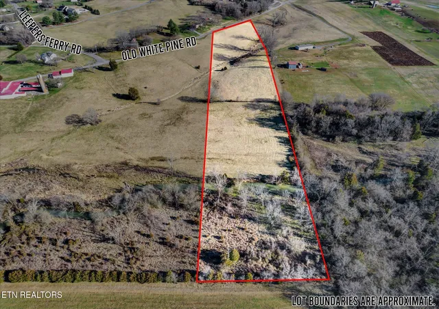 5th image of 5938 Old White Pine Rd, White Pine, TN 37890 | MLS# 1348331