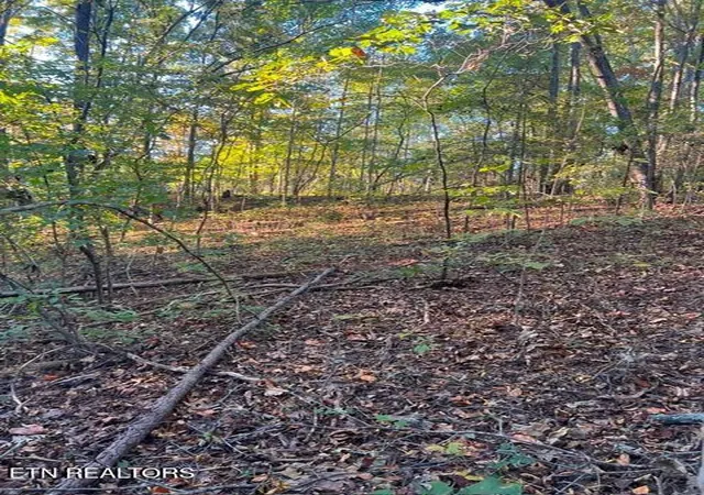 Photo 1 of Land for sale at 196 Woodstock Dr #179, Rutledge, TN 37861 | MLS# 1348354 | Listing updated on 2026-08-26
