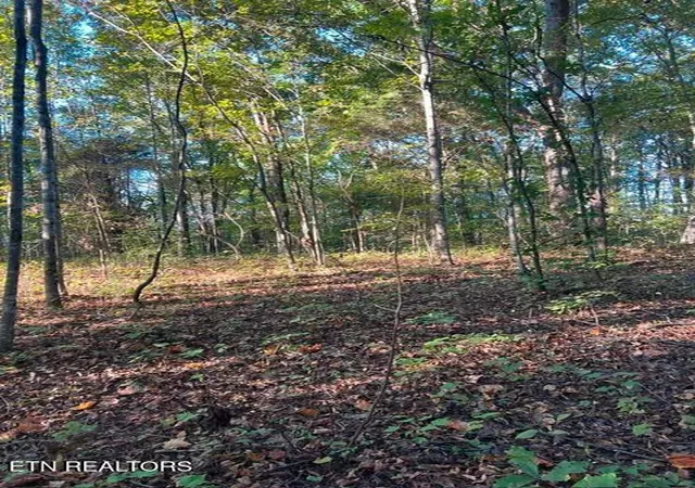 Photo 2 of Land for sale at 196 Woodstock Dr #179, Rutledge, TN 37861 | MLS# 1348354 | Listing updated on 2026-08-26