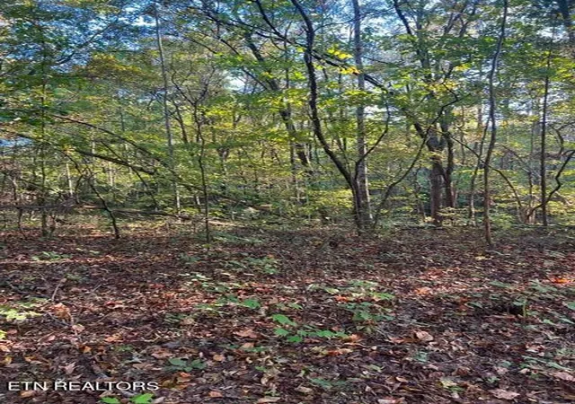 Photo 2 of Land for sale at 196 Woodstock Dr #179, Rutledge, TN 37861 | MLS# 1348354 | Listing updated on 2026-08-26