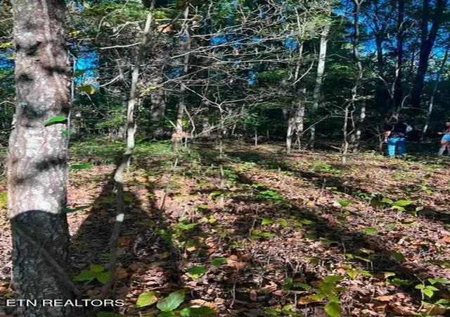 Photo 3 of Land for sale at 196 Woodstock Dr #179, Rutledge, TN 37861 | MLS# 1348354 | Listing updated on 2026-08-26