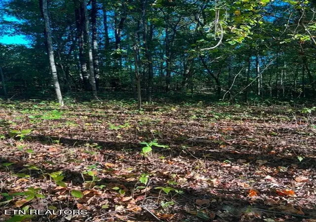 Photo 5 of Land for sale at 196 Woodstock Dr #179, Rutledge, TN 37861 | MLS# 1348354 | Listing updated on 2026-08-26