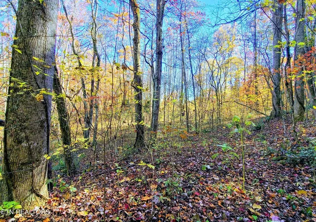1st image of Vowell Mountain Ln, Rocky Top, TN 37769 | MLS# 1348679