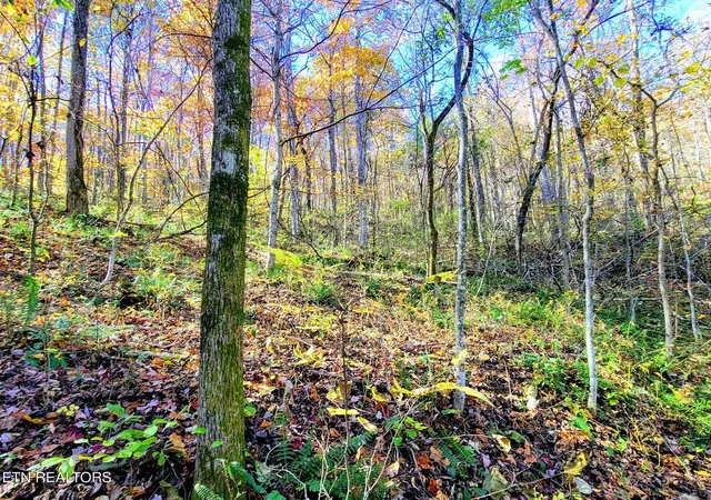 2nd image of Vowell Mountain Ln, Rocky Top, TN 37769 | MLS# 1348679