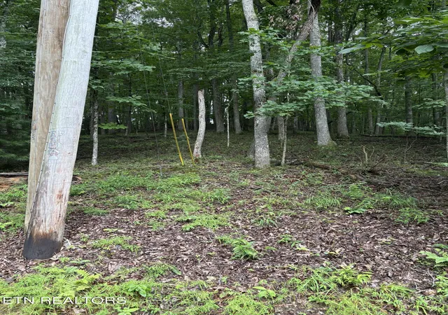 Photo 2 of Land for sale at 14 Lynhurst Cir, Crossville, TN 38558 | MLS# 1348412 | Listing updated on 2026-08-12