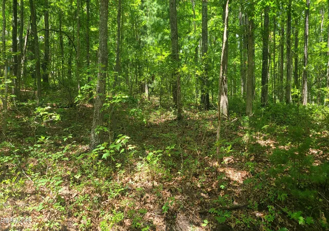 5th image of Lot 32,33 Gold Pond Wy, Tallassee, TN 37878 | MLS# 1348715