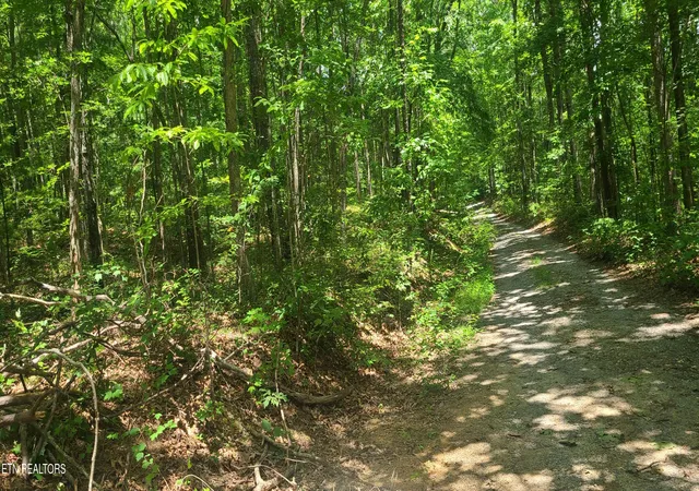 7th image of Lot 32,33 Gold Pond Wy, Tallassee, TN 37878 | MLS# 1348715