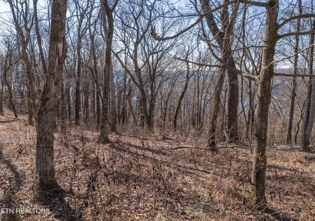 15th image of 28 Back Ranch Dr, Silver Point, TN 38582 | MLS# 1350191