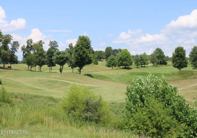 24th image of 161 Careen Ct, Lenoir City, TN 37772 | MLS# 1348803