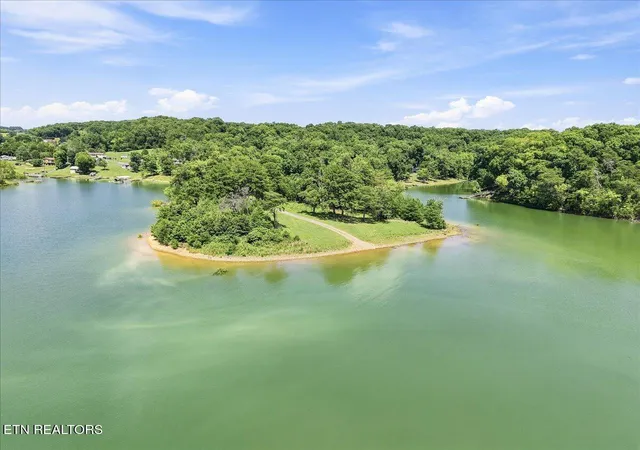 50th image of 1818 Circle Lake Dr, Dandridge, TN 37725 | MLS# 1348573