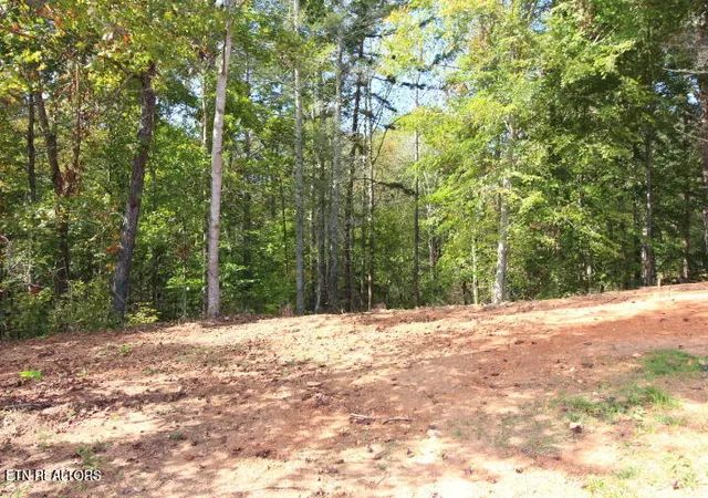 11th image of 523 Rudd Hollow Rd, Townsend, TN 37882 | MLS# 1348651