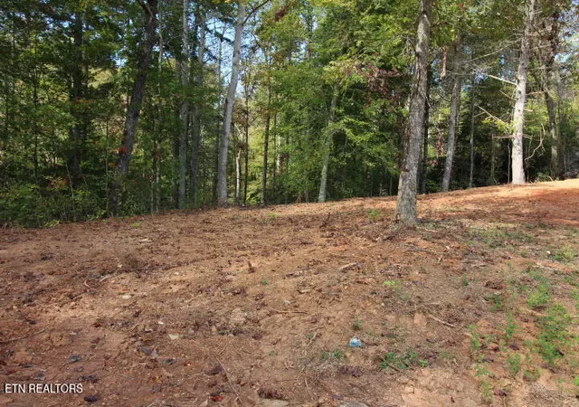 2nd image of 523 Rudd Hollow Rd, Townsend, TN 37882 | MLS# 1348651