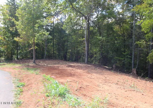 Photo 4 of Sale Pending at 523 Rudd Holw Rd, Townsend, TN 37882 | MLS# 1348651 | Listing updated on 2026-08-28