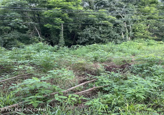 Photo 1 of Land for sale at 1413 Joe Hinton Rd, Knoxville, TN 37931 | MLS# 1348843 | Listing updated on 2026-09-08