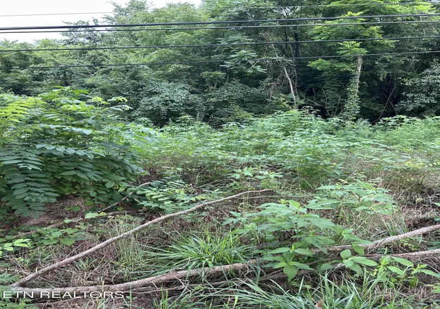 Photo 2 of Land for sale at 1413 Joe Hinton Rd, Knoxville, TN 37931 | MLS# 1348843 | Listing updated on 2026-09-08