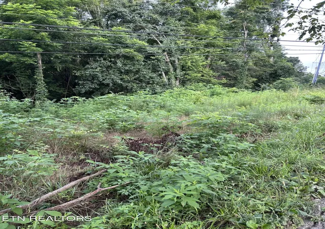 Photo 3 of Land for sale at 1413 Joe Hinton Rd, Knoxville, TN 37931 | MLS# 1348843 | Listing updated on 2026-09-08