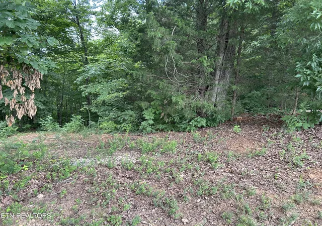 Photo 3 of Land for sale at Lot 69 Megans Tr, Bean Station, TN 37708 | MLS# 1348946 | Listing updated on 2026-07-21