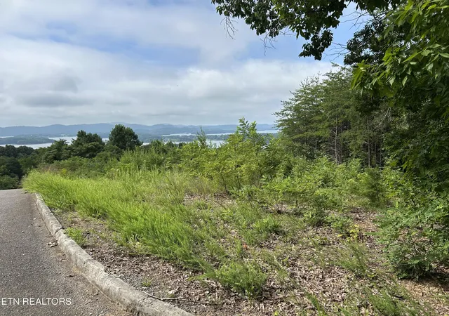 Photo 4 of Land for sale at Lot 69 Megans Tr, Bean Station, TN 37708 | MLS# 1348946 | Listing updated on 2026-07-21