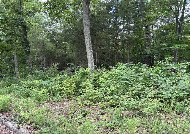 Photo 7 of Land for sale at Lot 69 Megans Tr, Bean Station, TN 37708 | MLS# 1348946 | Listing updated on 2026-07-21
