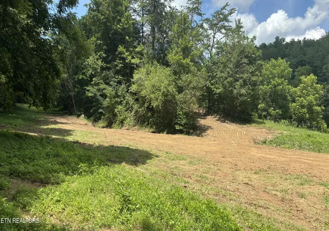 3rd image of Bogard Rd, Cosby, TN 37722 | MLS# 1348682