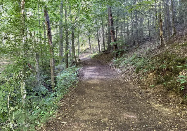 4th image of Bogard Rd, Cosby, TN 37722 | MLS# 1348682