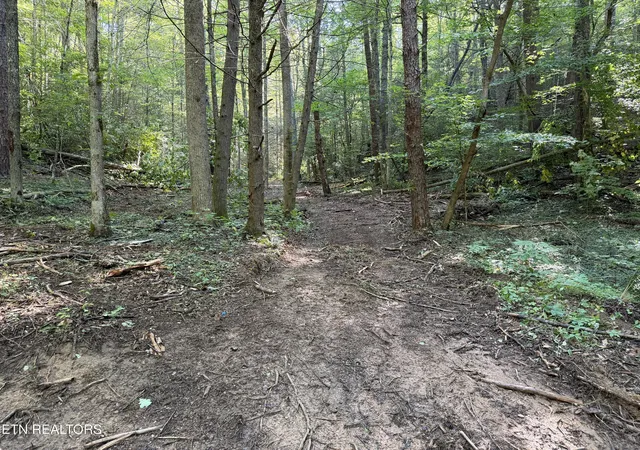 5th image of Bogard Rd, Cosby, TN 37722 | MLS# 1348682