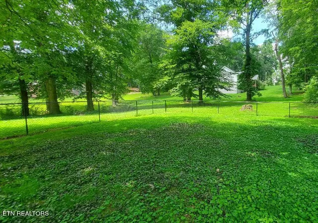5th image of 1097 Cooper Lake Rd, Oneida, TN 37841 | MLS# 1348734