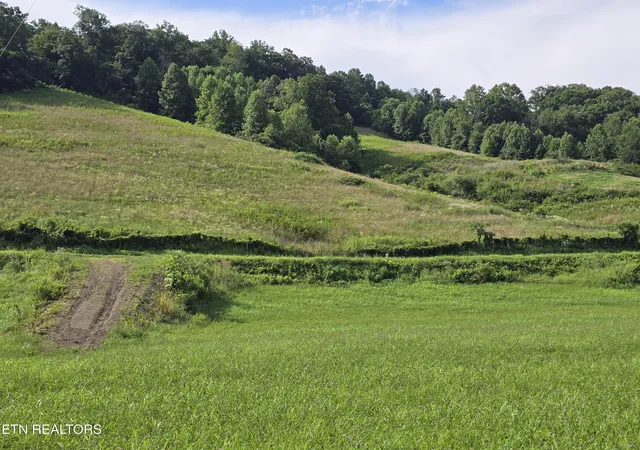 Photo 3 of Land for sale at Caney Valley 07 & 08 Rd, Sneedville, TN 37869 | MLS# 1348839 | Listing updated on 2026-09-04