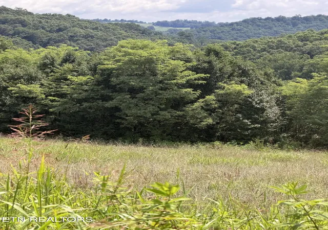 Photo 3 of Land for sale at Iron Works Rd, Harrogate, TN 37752 | MLS# 1348752 | Listing updated on 2026-07-21