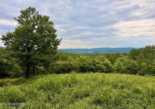 1st image of Nw Eads Bluff Rd, Georgetown, TN 37336 | MLS# 1348756