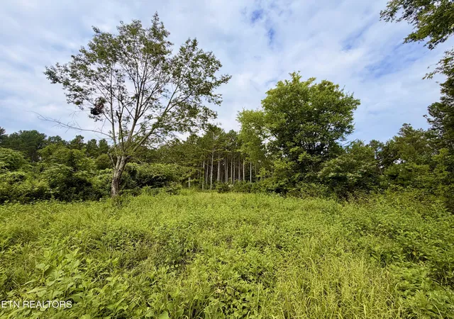 Photo 3 of Land for sale at Nw Eads Blf Rd, Georgetown, TN 37336 | MLS# 1348756 | Listing updated on 2026-07-19