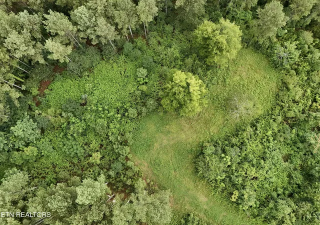 Photo 4 of Land for sale at NW Eads Blf Rd, Georgetown, TN 37336 | MLS# 1348756 | Listing updated on 2026-07-19