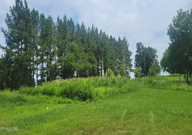 5th image of Reed Rd, Ten Mile, TN 37880 | MLS# 1348749