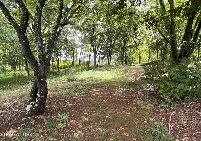 2nd image of 104 Brae Ct, Maryville, TN 37801 | MLS# 1350428